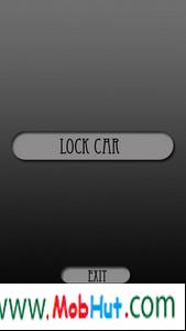  fake car lock