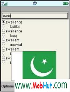 English urdu dictionary