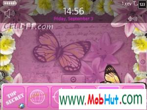 Pink butterfly theme