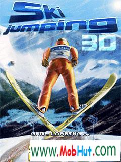 3d ski jumping 2010